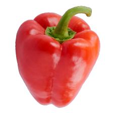 Paprika rood